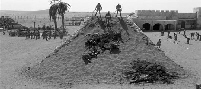 Agrandir / Télécharger la photo